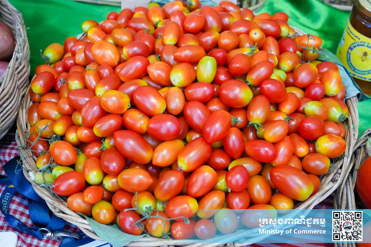 រូបភាពខ្លះៗស្ដីពីសកម្មភាពរបស់បងប្អូនអាជីវករ ពាណិជ្ជករ ភ្ញៀវទេសចរណ៍ជាតិ និងអន្តរជាតិ ចូលរួមព្រឹត្តិការណ៍ «ពិព័រណ៍ផលិតផលខ្មែរ និងបន្លែផ្លែឈើ លើកទី១៨»