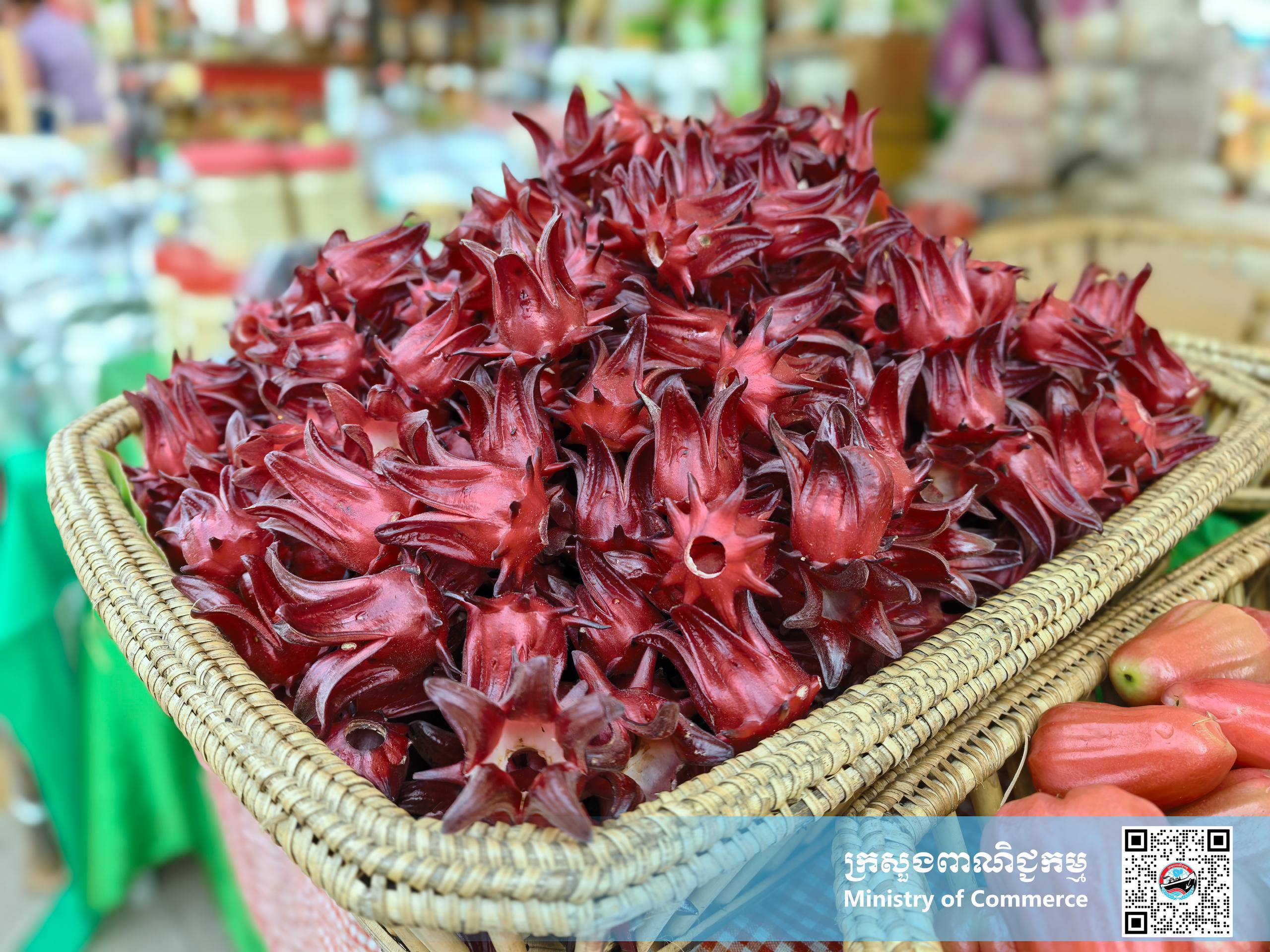 រូបភាពខ្លះៗស្ដីពីសកម្មភាពរបស់បងប្អូនអាជីវករ ពាណិជ្ជករ ភ្ញៀវទេសចរណ៍ជាតិ និងអន្តរជាតិ ចូលរួមព្រឹត្តិការណ៍ «ពិព័រណ៍ផលិតផលខ្មែរ និងបន្លែផ្លែឈើ លើកទី១៩»