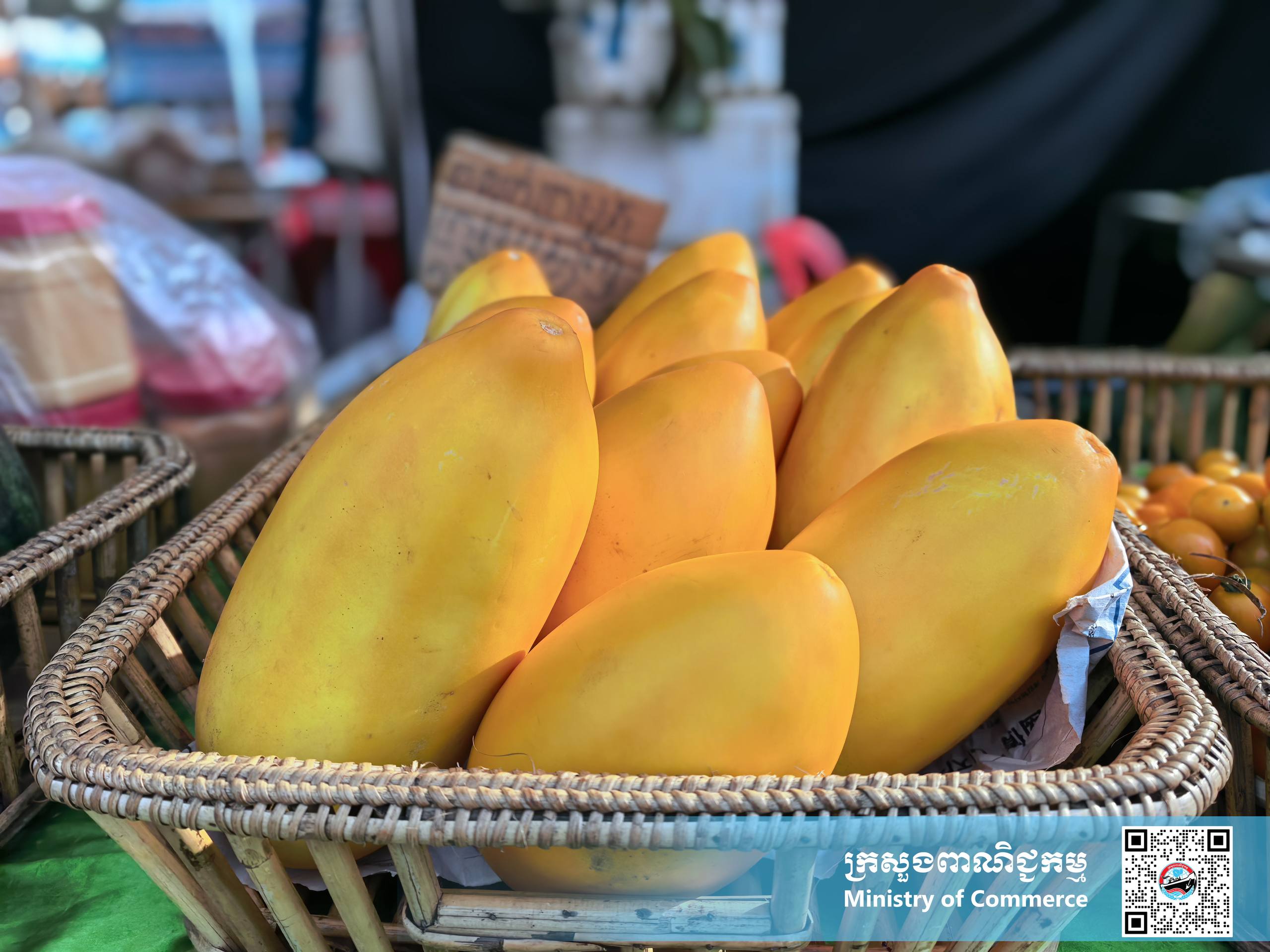 រូបភាពខ្លះៗស្ដីពីសកម្មភាពរបស់បងប្អូនអាជីវករ ពាណិជ្ជករ ភ្ញៀវទេសចរណ៍ជាតិ និងអន្តរជាតិ ចូលរួមព្រឹត្តិការណ៍ «ពិព័រណ៍ផលិតផលខ្មែរ និងបន្លែផ្លែឈើ លើកទី១៩»