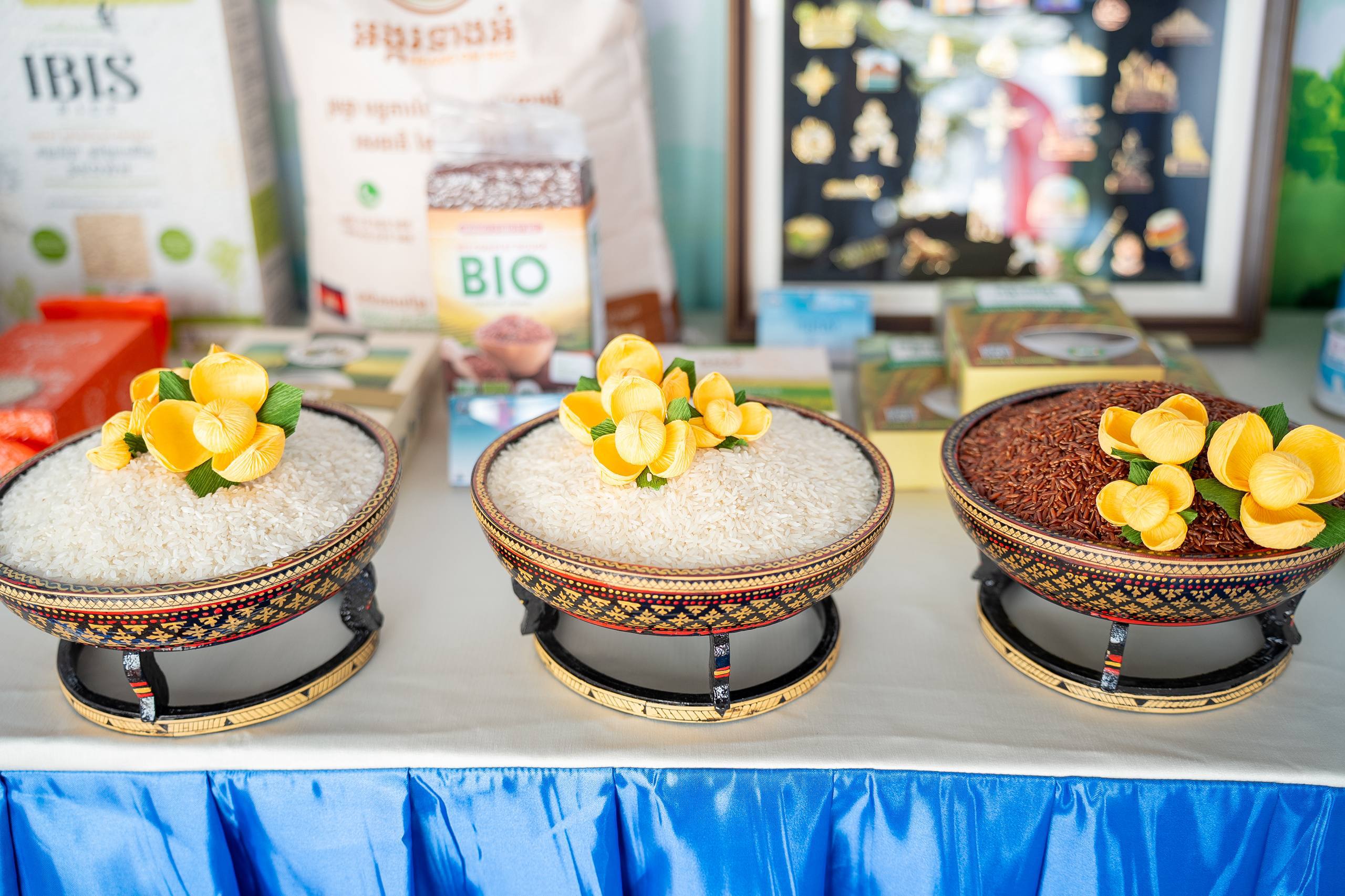 ឯកឧត្តម ស៊ាង ថៃ រដ្ឋលេខាធិការក្រសួងពាណិជ្ជកម្ម អញ្ជើញចូលរួមជាគណៈធិបតីក្នុងពិធីបើកព្រឹត្តិការណ៍បុណ្យទន្លេលើកទី១០ នៅខេត្តក្រចេះ