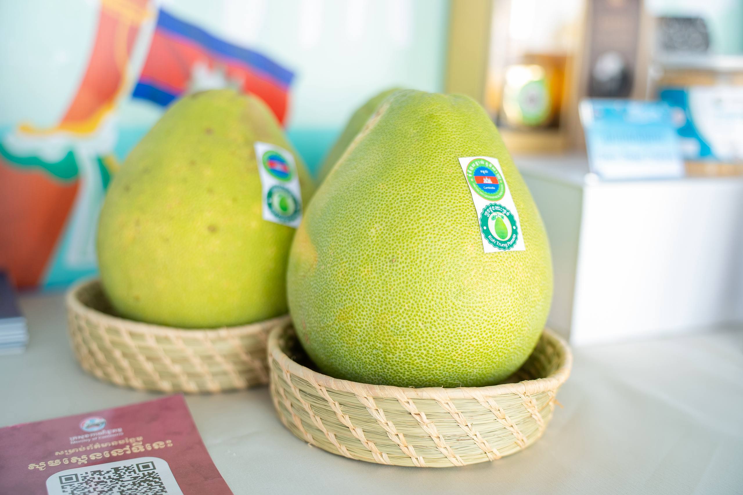 ឯកឧត្តម ស៊ាង ថៃ រដ្ឋលេខាធិការក្រសួងពាណិជ្ជកម្ម អញ្ជើញចូលរួមជាគណៈធិបតីក្នុងពិធីបើកព្រឹត្តិការណ៍បុណ្យទន្លេលើកទី១០ នៅខេត្តក្រចេះ